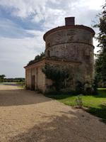 Muscadet - Coing (7) &ndash; &copy; Jörg Nesse (Eberhardt TRAVEL)