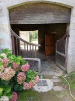 Muscadet - Coing (8) &ndash; &copy; Jörg Nesse (Eberhardt TRAVEL)