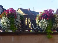 Colmar &ndash; &copy; Kerstin Hugel (Eberhardt TRAVEL)
