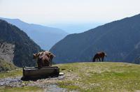 Bergwelt Andorras &ndash; &copy; Helene Johannsen (Eberhardt TRAVEL)