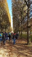 Spaziergang im Jardin du Luxembourg &ndash; &copy; Maxi Goldbach (Eberhardt TRAVEL)