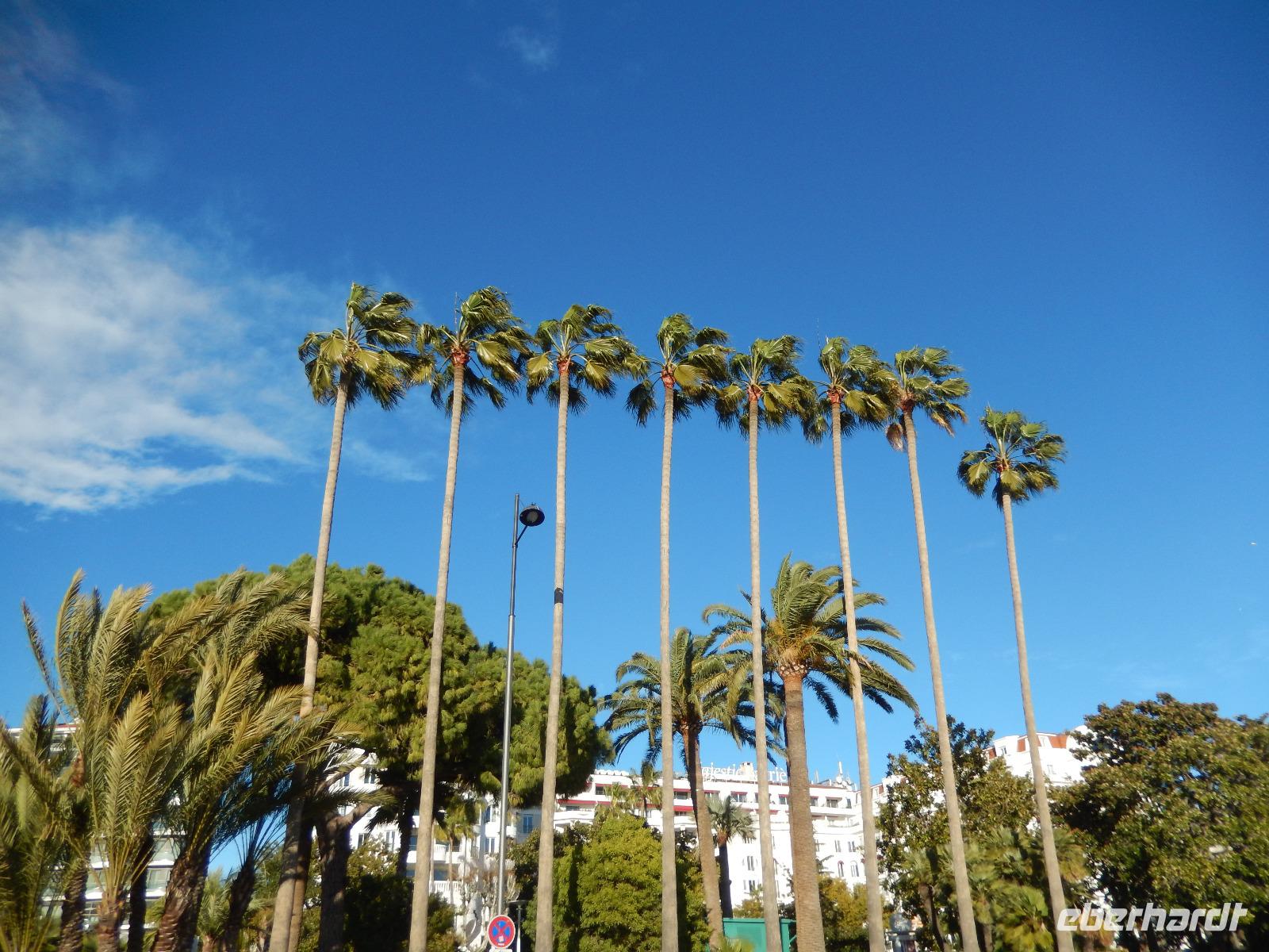 95-La Croisette &ndash; &copy; Lena Rautenberg (Eberhardt TRAVEL)