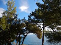 72-Monaco &ndash; &copy; Lena Rautenberg (Eberhardt TRAVEL)