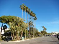 93-La Croisette &ndash; &copy; Lena Rautenberg (Eberhardt TRAVEL)