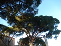 99-Cannes &ndash; &copy; Lena Rautenberg (Eberhardt TRAVEL)