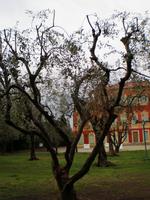 Matisse Museum &ndash; &copy; Lena Rautenberg (Eberhardt TRAVEL)