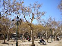Platz Saint Tropez &ndash; &copy; Lena Rautenberg (Eberhardt TRAVEL)