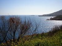 Küste Esterel &ndash; &copy; Lena Rautenberg (Eberhardt TRAVEL)
