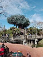 IMG 20180404 123001 &ndash; &copy; Nico Stolba (Eberhardt TRAVEL)