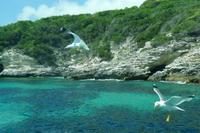 Bonifacio &ndash; &copy; Claudia Hartwich (Eberhardt TRAVEL)