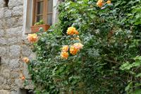 Sartène &ndash; &copy; Claudia Hartwich (Eberhardt TRAVEL)