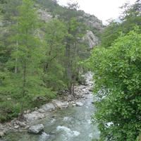Restonica-Schlucht &ndash; &copy; Claudia Hartwich (Eberhardt TRAVEL)