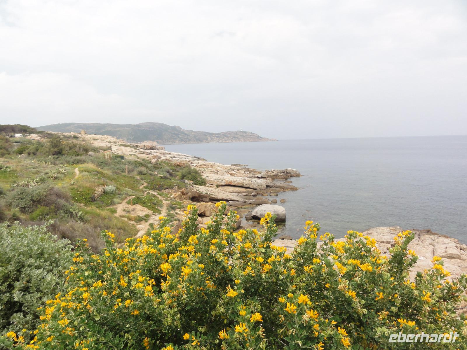 Macchia &ndash; &copy; Nico Stolba (Eberhardt TRAVEL)