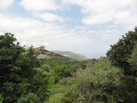 Macchia &ndash; &copy; Nico Stolba (Eberhardt TRAVEL)