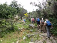 Macchia &ndash; &copy; Nico Stolba (Eberhardt TRAVEL)