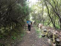 Calanche &ndash; &copy; Nico Stolba (Eberhardt TRAVEL)