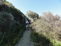 Calanche &ndash; &copy; Nico Stolba (Eberhardt TRAVEL)