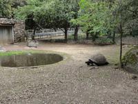 A Cupulatta &ndash; &copy; Nico Stolba (Eberhardt TRAVEL)