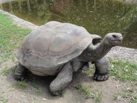 A Cupulatta &ndash; &copy; Nico Stolba (Eberhardt TRAVEL)