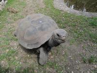 A Cupulatta &ndash; &copy; Nico Stolba (Eberhardt TRAVEL)