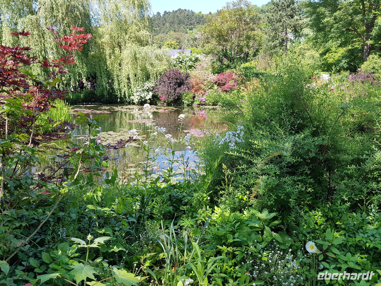 19.5.2018 Giverny Wassergarten  &ndash; &copy; Beate Schroedter (Eberhardt TRAVEL)