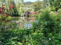 19.5.2018 Giverny Wassergarten  &ndash; &copy; Beate Schroedter (Eberhardt TRAVEL)