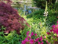 19.5.2018 Giverny Wassergarten &ndash; &copy; Beate Schroedter (Eberhardt TRAVEL)
