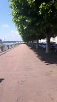 Allee am Anleger in Chalon &ndash; &copy; Eva-Maria Strauß-Eberhardt (Eberhardt TRAVEL)