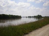 Die wilde Loire