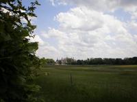 Wälder von Chambord &ndash; &copy; Lena Rautenberg (Eberhardt TRAVEL)
