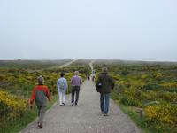 Pointe du Raz &ndash; &copy; Birgit Janosch (Eberhardt TRAVEL)