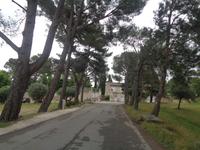 St. Rémy &ndash; &copy; Barbara Mihut (Eberhardt TRAVEL)