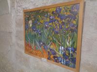 Schwertlilien von Vincent