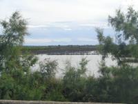 Camargue &ndash; &copy; Barbara Mihut (Eberhardt TRAVEL)