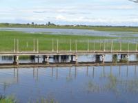 Camargue &ndash; &copy; Barbara Mihut (Eberhardt TRAVEL)