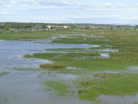 Camargue &ndash; &copy; Barbara Mihut (Eberhardt TRAVEL)