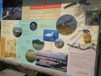 Camargue &ndash; &copy; Barbara Mihut (Eberhardt TRAVEL)
