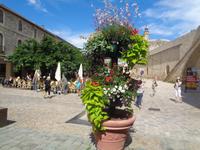 Aigues-Mortes &ndash; &copy; Barbara Mihut (Eberhardt TRAVEL)