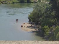 Pont du Gard