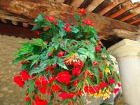 Moustiers-Ste-Marie &ndash; &copy; Maite Floris-Moser (Eberhardt TRAVEL)