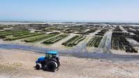 Cancale Austernpark &ndash; &copy; Beate Schroedter (Eberhardt TRAVEL)