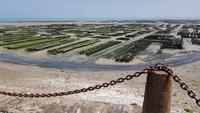 Cancale Austernpark &ndash; &copy; Beate Schroedter (Eberhardt TRAVEL)