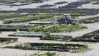 Cancale Austernpark &ndash; &copy; Beate Schroedter (Eberhardt TRAVEL)