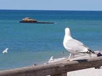 Ètretat &ndash; &copy; Beate Schroedter (Eberhardt TRAVEL)