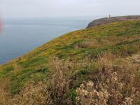 Cap Frèhel &ndash; &copy; Beate Schroedter (Eberhardt TRAVEL)