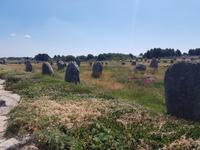Carnac &ndash; &copy; Beate Schroedter (Eberhardt TRAVEL)