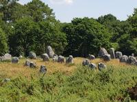 Carnac &ndash; &copy; Beate Schroedter (Eberhardt TRAVEL)