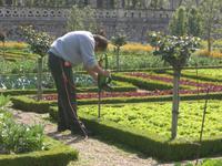 Villandry, Buchsbaumpflege &ndash; &copy; Peter Großer (Eberhardt TRAVEL)