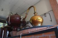 Calvados4 &ndash; &copy; Gina Egenolf (Eberhardt TRAVEL)