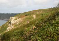 Guernsey6 &ndash; &copy; Gina Egenolf (Eberhardt TRAVEL)